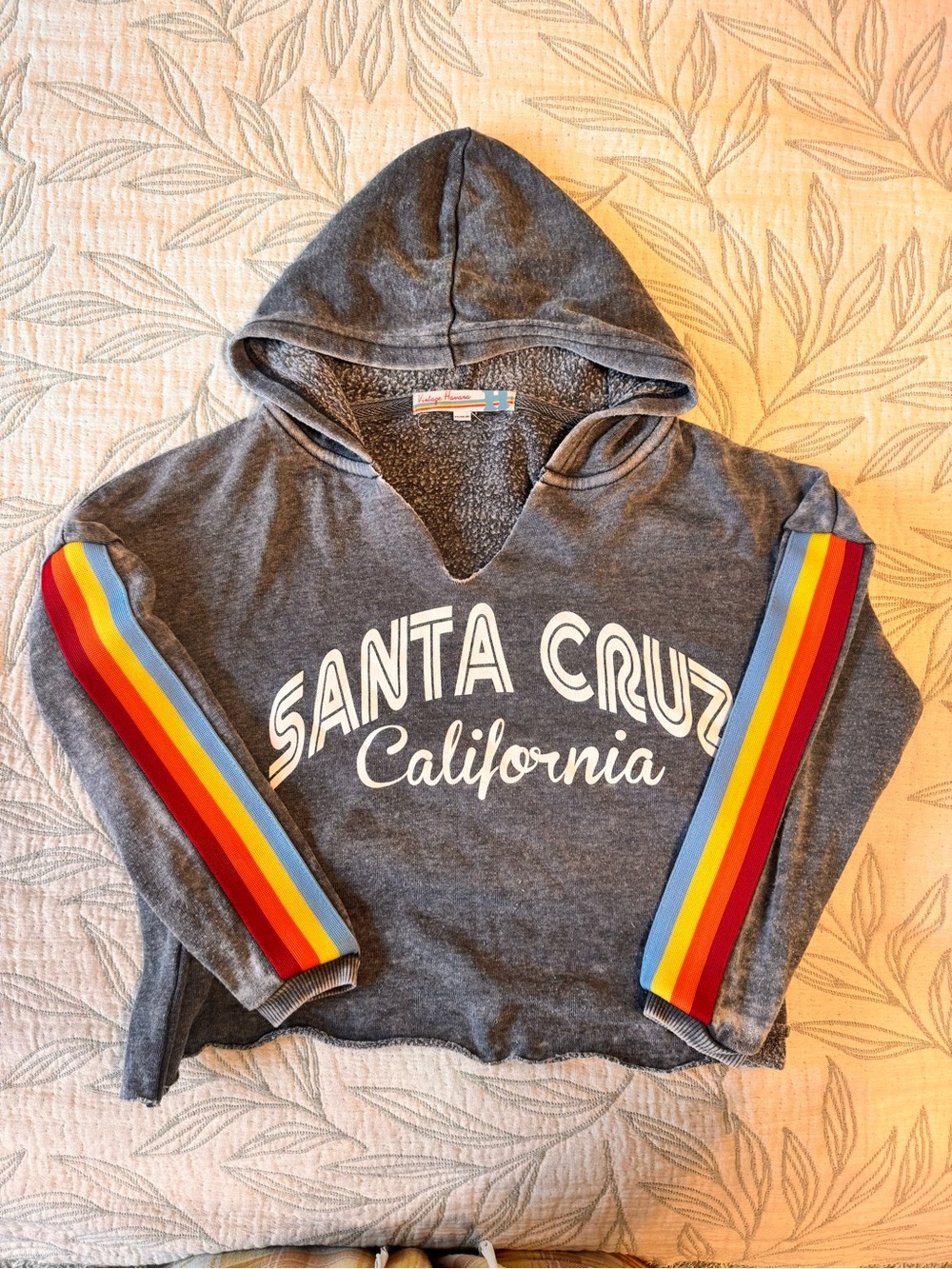 Vintage Havana Santa Cruz California Rainbow Cropped Hoodie | Kids Size 10/12